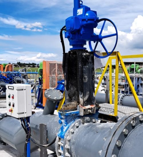 WhatsApp Image 2024-06-12 at 13.06.31_1a5ed4fb