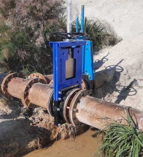 WhatsApp Image 2024-06-12 at 13.07.46_ab47539a